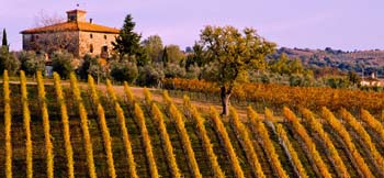 Weingut Toskana