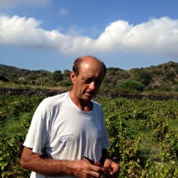 Viticoltore Pantelleria