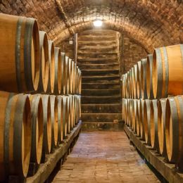 wine cellar barrique
