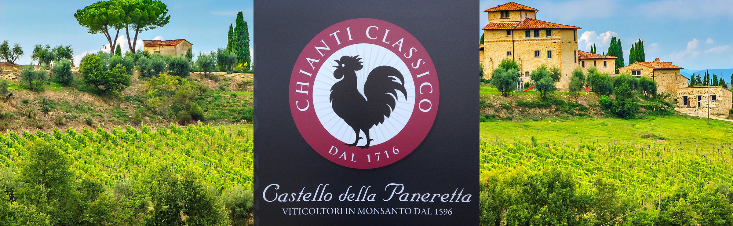 chianti vigneti casa