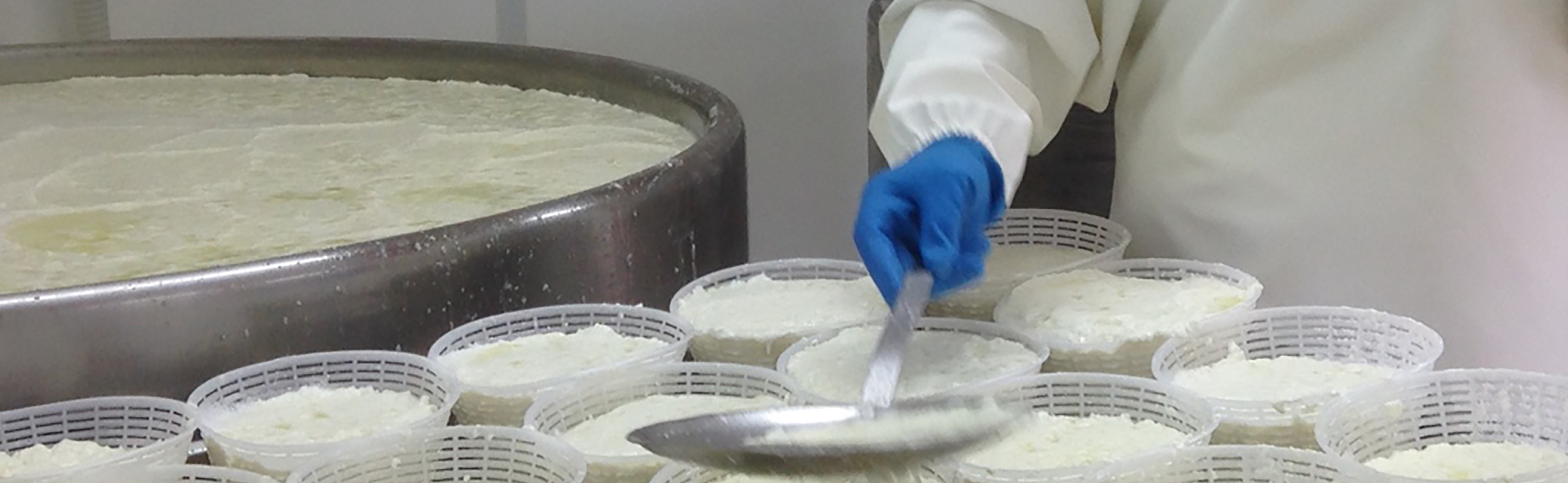 cheese making