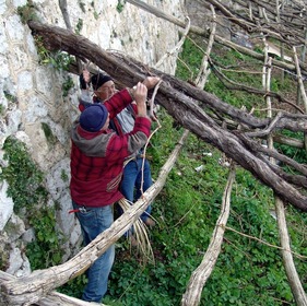 Viticoltura eroica Marisa Cuomo